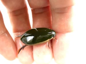 IMG_2587-e1555150276169-