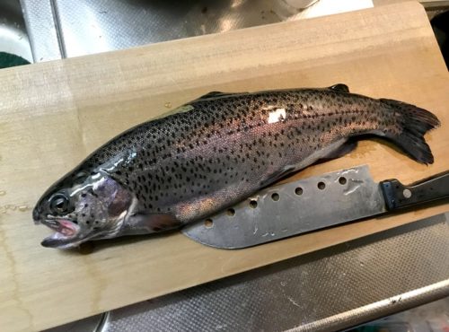 【大丈夫？】ニジマスを刺身で食べてみた