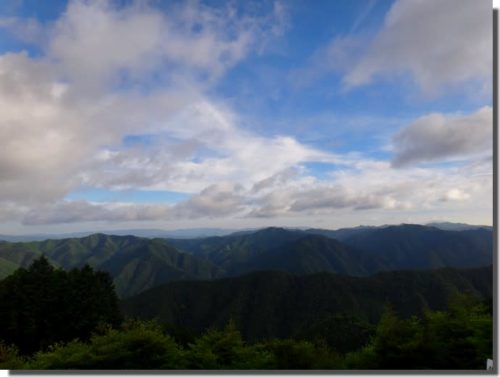 オオダイガハラサンショウウオ採集 ～first challenge～