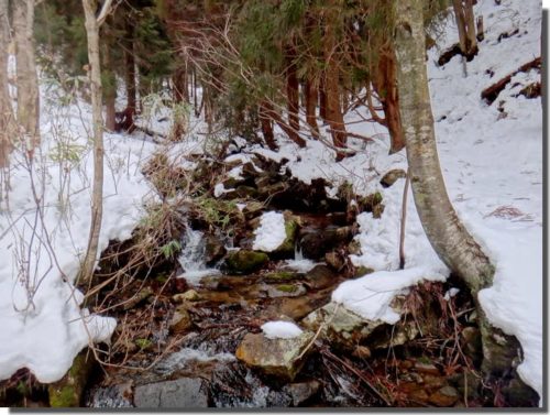 雪山登山？いえ、サンショウウオ探しです