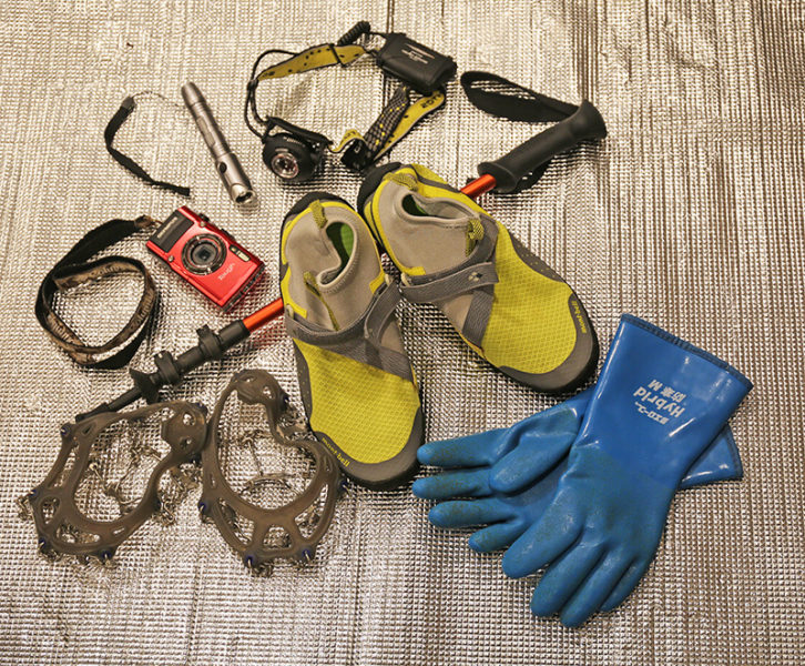 サンショウウオ観察用おすすめ道具